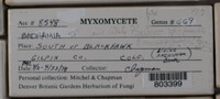 Image Associated With the Occurence
